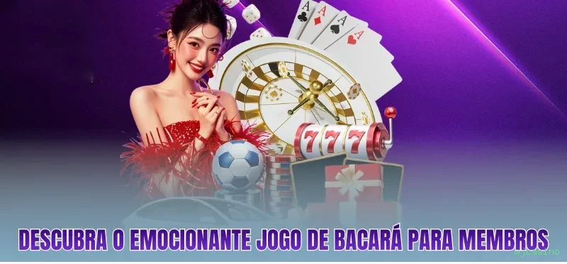 Experiência VIP wjcasino